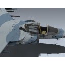 AV-8B Harrier II (VMA-231 Desert Storm)