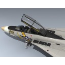 F-14A Tomcat (VF-142)