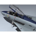 F-14D Super Tomcat (VF-213)
