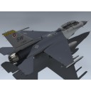 F-16D Falcon