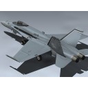 F/A-18A Hornet (VFA-15)