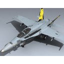 F/A-18C Hornet (VFA-192 CAG)