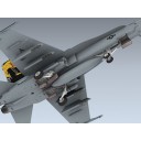 F/A-18C Hornet (VFA-192 CAG)
