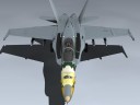 F/A-18C Hornet (VFA-195)