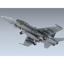 F/A-18D (VMFA(AW)-242)