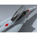F/A-18F Super Hornet (VFA-102)