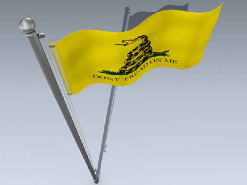 Flag (Dont Tread)