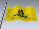 Flag (Dont Tread)