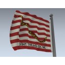 Flag (First Navy Jack)