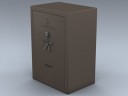 Gun Safe