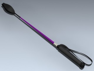 Horse Riding Crop