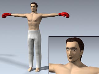 Male Kickboxer