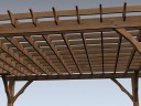 Pergola (Coliseum)