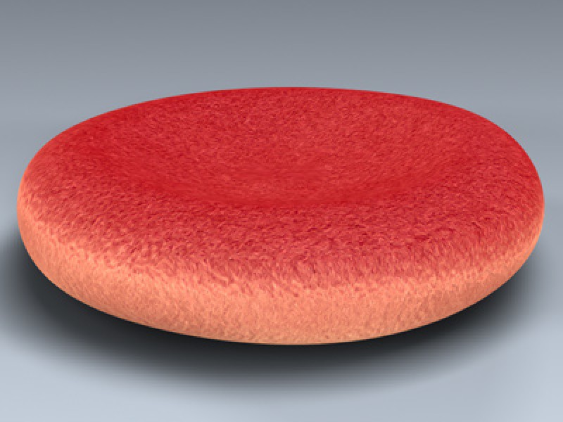 Red Blood Cell