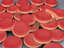 Red Blood Cell