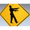 Road Sign (Zombies Ahead)