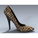 Shoe (Leopard Pump)