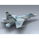 Su-27 Flanker B (Russia)