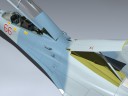 Su-27UB Flanker C (Russia)