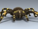 Tarantula
